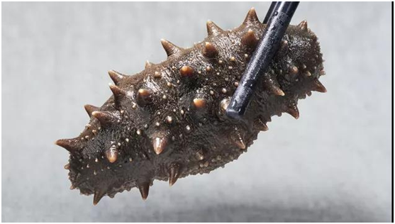 202109201250445868.png 202109201250445868.png